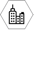 团队实力